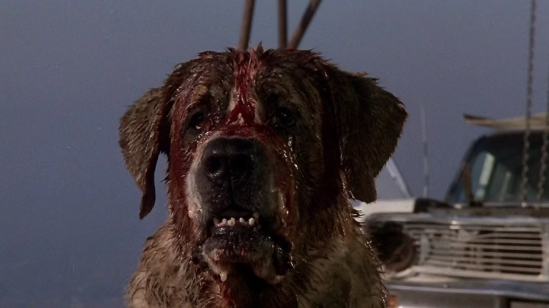 Cujo em cena do filme de 1983